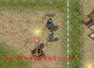 热血传奇中鹰卫在哪里可以召唤? 热血传奇中鹰卫在哪里可以召唤?