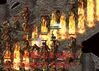 ����������ֻ�Ǽ��������������������˽���٣�