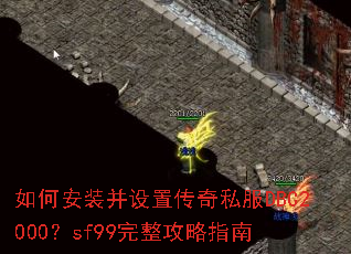 ��ΰ�װ�����ô���˽��DBC2000��sf99��������ָ��