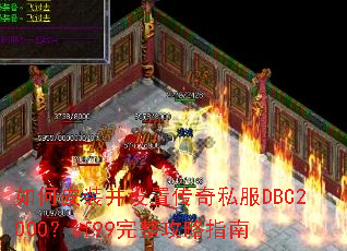 ��ΰ�װ�����ô���˽��DBC2000��sf99��������ָ��