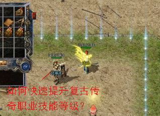 ��ο����������Ŵ���ְҵ���ܵȼ���