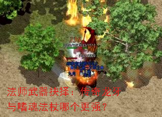 ��ʦ�������񣺴����������Ȼ귨���ĸ���ǿ��