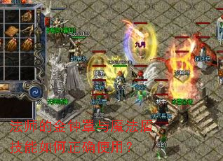 ��ʦ�Ľ�������ħ���ܼ��������ȷʹ�ã�