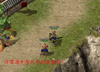 传奇道士带几号勋章最好? 传奇道士带几号勋章最好?