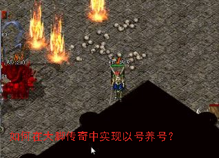 ����ڴ�Ŵ�����ʵ���Ժ����ţ�