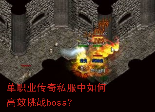 ��ְҵ����˽������θ�Ч��սboss��