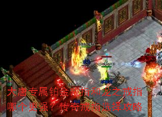 ����ר�������ָ����֮��ָ�ĸ���ǿ�������ָѡ����