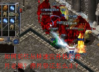 如何前往丛林迷宫并找到赤月老巢?赤月祭坛怎么走? 如何前往丛林迷宫并找到赤月老巢?赤月祭坛怎么走?