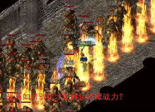 战马如何驯化才能解锁隐藏战力? 战马如何驯化才能解锁隐藏战力?