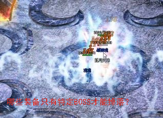 哪些装备只有特定BOSS才能掉落? 哪些装备只有特定BOSS才能掉落?