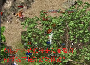 如何在不依赖传奇私服盈利的情况下提升游戏体验? 如何在不依赖传奇私服盈利的情况下提升游戏体验?