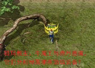 ���������ţħ������¶�ħ�����Ƿֱ������Щ����װ����