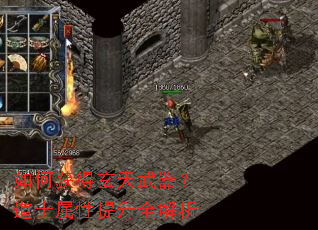 ��λ��������������ʿ��������ȫ����