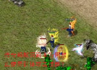 传奇蚂蚁洞副本为何禁止使用群体攻击技能? 传奇蚂蚁洞副本为何禁止使用群体攻击技能?