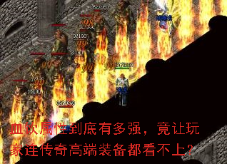 Ѫ�����Ե����ж�ǿ���������������߶�װ���������ϣ�