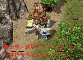 Ѫ�����Ե����ж�ǿ���������������߶�װ���������ϣ�