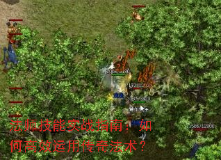 ��ʦ����ʵսָ�ϣ���θ�Ч���ô��淨����