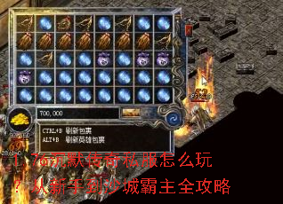 1.76沉默传奇私服怎么玩?从新手到沙城霸主全攻略 1.76沉默传奇私服怎么玩?从新手到沙城霸主全攻略