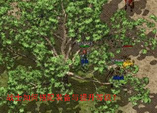 սʿ��δ���װ���������ȼ���