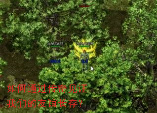 ���ͨ�������֤���ǵ����곤�棿