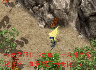 ����˽��׳��֮�ã�ʮ������̽�ع��ԣ���νҿ�������ʷ��