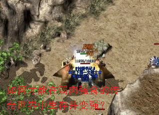 ��β���������ǿʳ�Ĵ������������沢��ǿ��