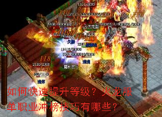 ��ο��������ȼ�����������ְҵ���������Щ��