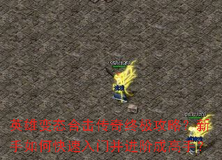 Ӣ�۱�̬�ϻ������ռ����ԣ�������ο������Ų����׳ɸ��֣�