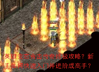 Ӣ�۱�̬�ϻ������ռ����ԣ�������ο������Ų����׳ɸ��֣�