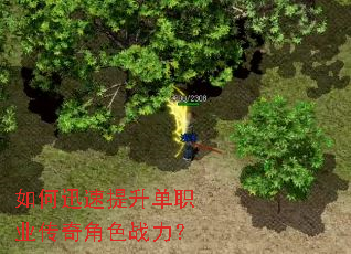 ���Ѹ��������ְҵ�����ɫս����