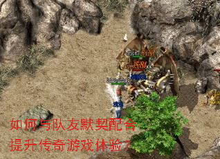 ��������Ĭ���������������Ϸ���飿