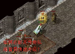 ������¿�����˽�����տ��ٳ弶��