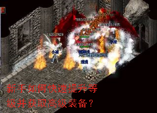 ������ο��������ȼ�����ȡ�߼�װ����