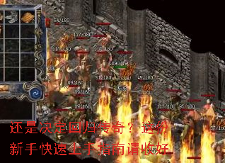 ���Ǿ����ع鴫�棿������ֿ�������ָ�����պ�