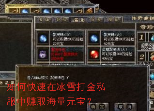 ��ο����ڱ�ѩ���˽����׬ȡ����Ԫ����