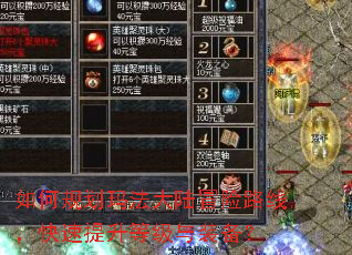 如何规划玛法大陆冒险路线,快速提升等级与装备? 如何规划玛法大陆冒险路线,快速提升等级与装备?