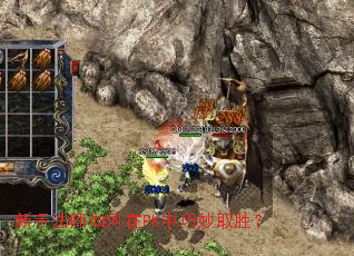 新手法师如何在PK中巧妙取胜? 新手法师如何在PK中巧妙取胜?