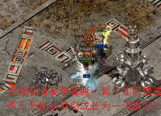 ����˽�����𱦵䣺������ο������֣������Ӳ���ɳ�Ϊһ����ʦ��