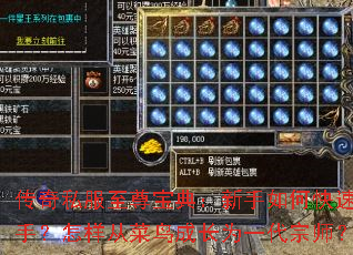 ����˽�����𱦵䣺������ο������֣������Ӳ���ɳ�Ϊһ����ʦ��