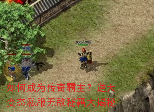 ��γ�Ϊ��������������̬˽���޵��ؼ������