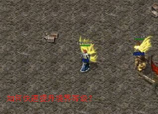 ��ο�����������ȼ���