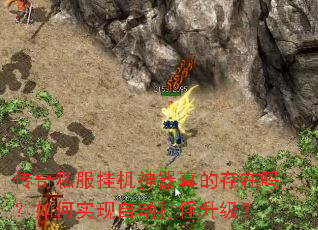 ����˽���һ�������Ĵ��������ʵ���Զ����������