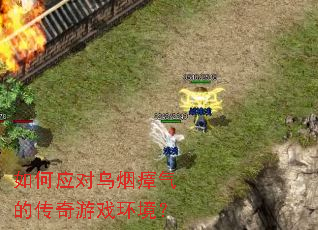 ���Ӧ�����������Ĵ�����Ϸ������