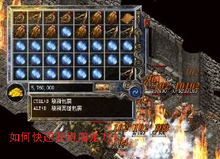 ��ο��ٻ����������