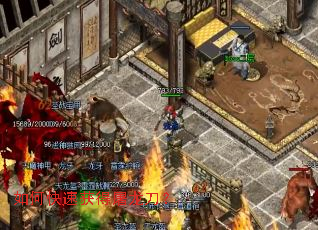 ��ο��ٻ����������