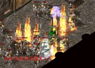 ��ο��ٻ����������