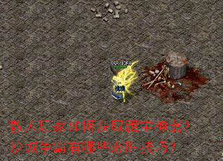 ɢ�������λ�ȡ�ر�������ɳ����������Щ��ʤ���ɣ�