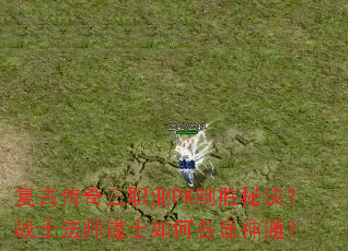 复古传奇三职业PK制胜秘诀?战士法师道士如何各显神通? 复古传奇三职业PK制胜秘诀?战士法师道士如何各显神通?