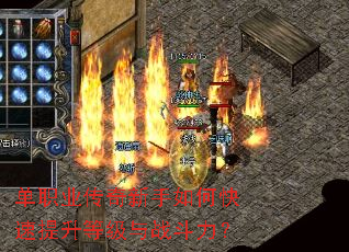 ��ְҵ����������ο��������ȼ���ս������