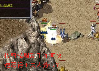 传奇私服新手如何快速赢得王夫人芳心? 传奇私服新手如何快速赢得王夫人芳心?